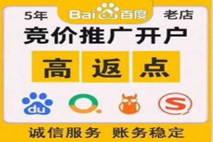 案例解读：网络推广与竞价策略